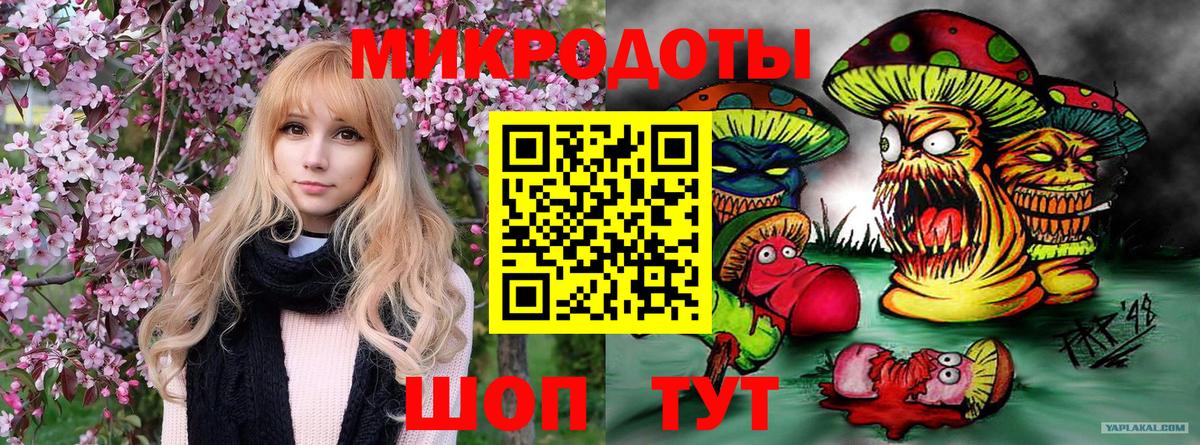 Галлюциногенные грибы Psilocybine cubensis Протвино