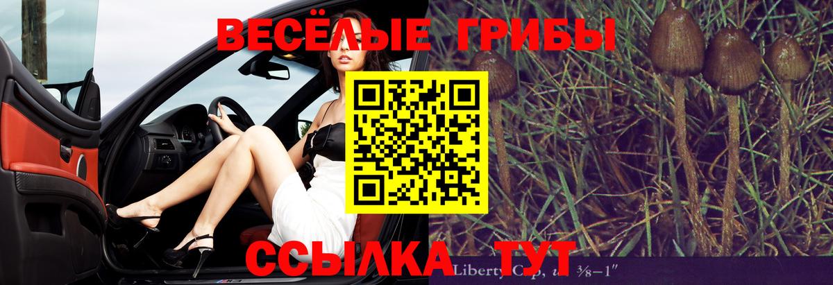 Псилоцибиновые грибы мицелий  Вход с VPN  Протвино 